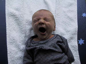 110-1045_IMG.jpg (286945 Byte)