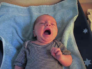 152-5249_IMG.jpg (305050 Byte)